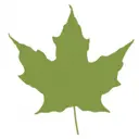 Westward Care