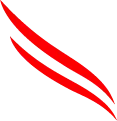CROWDSTRIKE INC