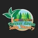 Forever Green Sonia Nursery LLC