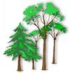 Prairie View Landscaping & Nursery, Inc