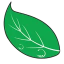 Oberson's Nursery and Landscapes LLC - Louisville
