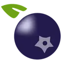Monavale Blueberries Ltd