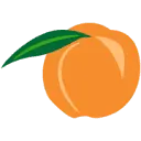 The Fredericksburg Peach Co
