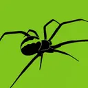 SeedSpider Limited