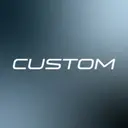 Custom Bus
