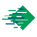 Domino Printing Sciences