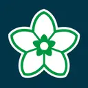Cumberland Council